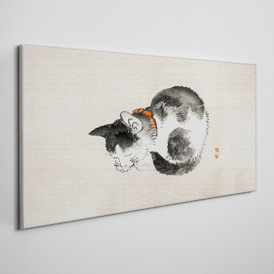 Obraz na plátně Zvířecí kočka