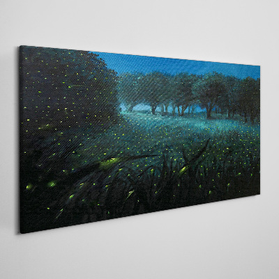 Obraz na plátně Lesní noční fireflies
