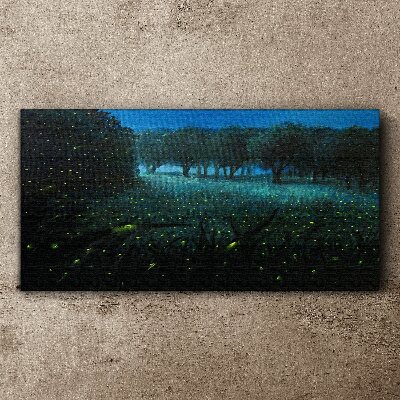 Obraz na plátně Lesní noční fireflies