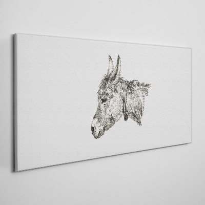 Obraz na plátně Portrét osla v monochromatickém stylu