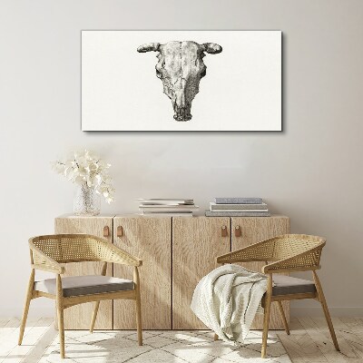 Obraz na plátně Kreslení zvířecí krávy lebka