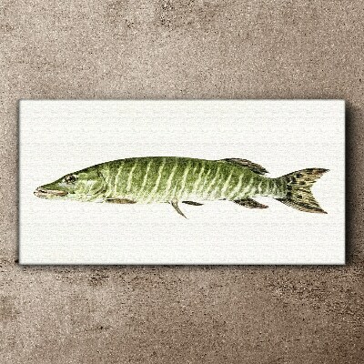 Obraz na plátně Zvířecí ryby