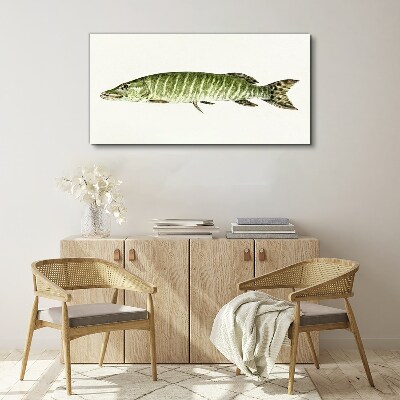 Obraz na plátně Zvířecí ryby