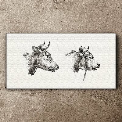 Obraz na plátně Kresba krávy zvířat