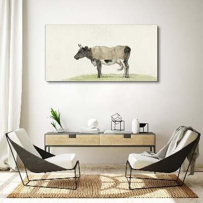 Obraz na plátně Kráva