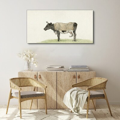Obraz na plátně Kráva