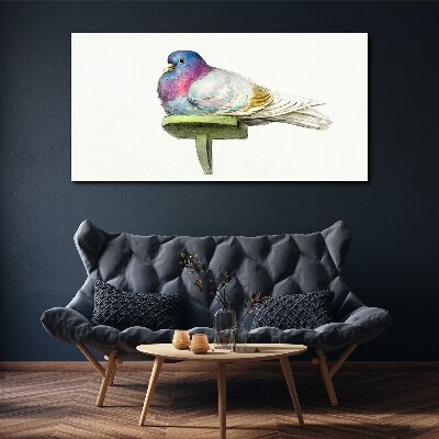 Obraz na plátně Zvířecí pták holub