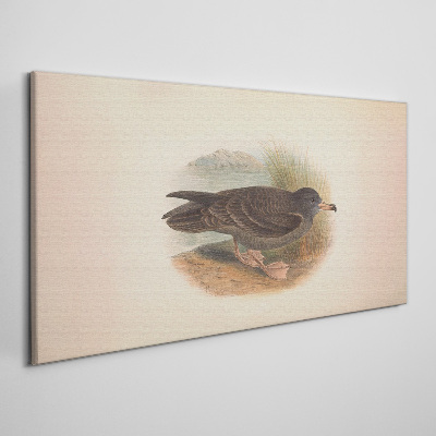 Obraz na plátně Zvířata ptáků