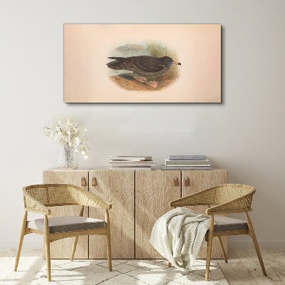 Obraz na plátně Zvířata ptáků