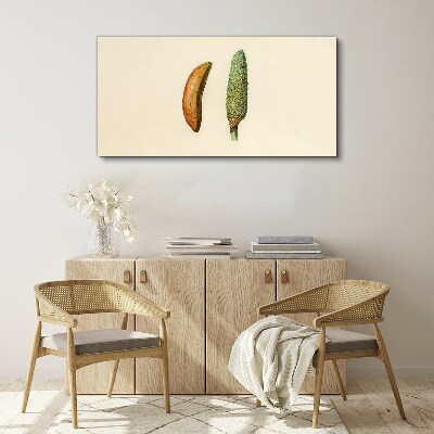 Obraz na plátně Moderní ovoce