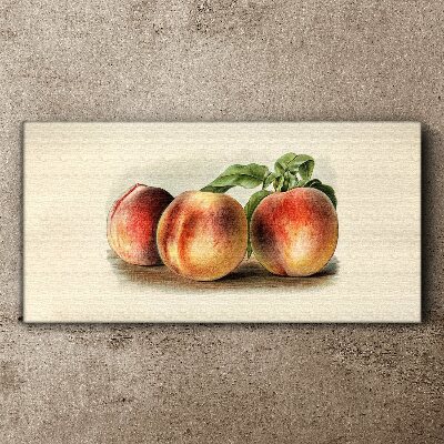 Obraz na plátně Broskvové ovocné listy