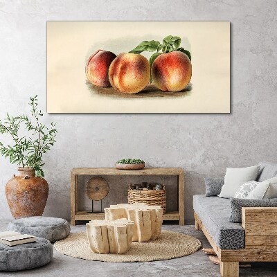 Obraz na plátně Broskvové ovocné listy