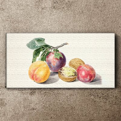 Obraz na plátně Ovoce větev listy