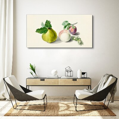 Obraz na plátně Ovoce větev listy