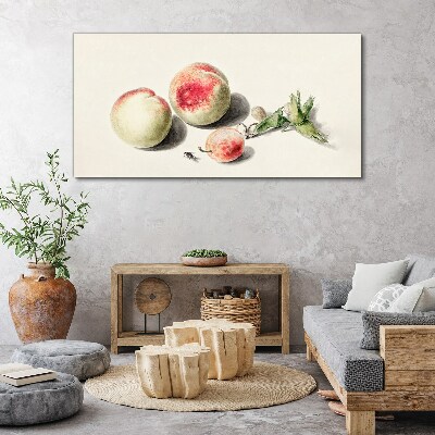 Obraz na plátně Broskvový ovoce