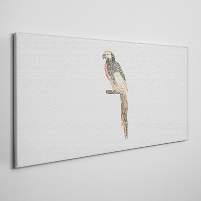 Obraz na plátně Kreslení zvířecí pták papoušek