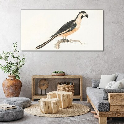 Obraz na plátně Kreslení větev zvířat pták