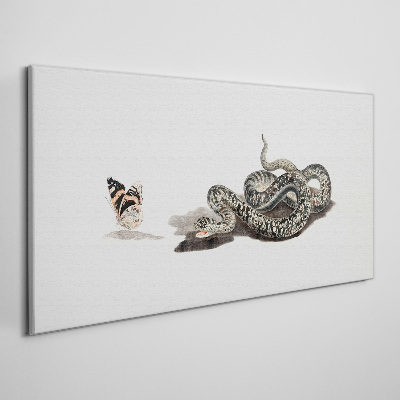 Obraz na plátně Kreslení zvířecí had motýl