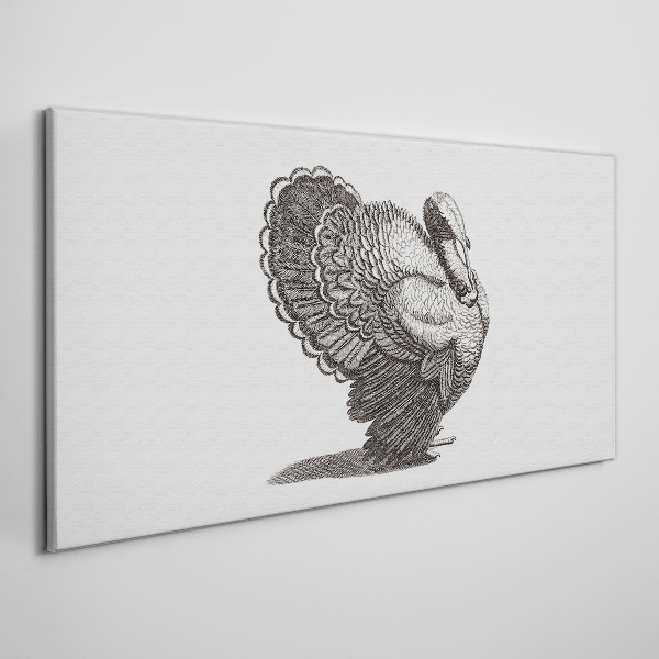 Obraz na plátně Elegance krocana v detailu