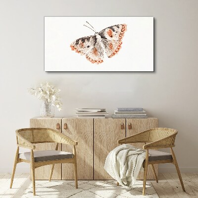 Obraz na plátně Chyba hmyz motýla