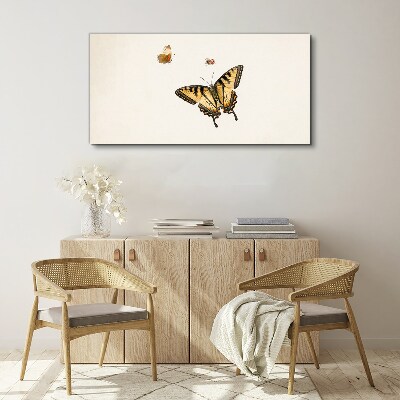 Obraz na plátně Moderní bug hmyz motýl