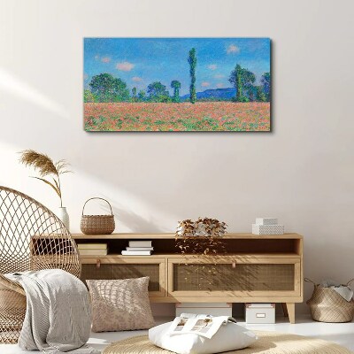 Obraz na plátně Louky Monetová krajina