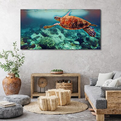 Obraz na plátně mořská zvířata želva vody