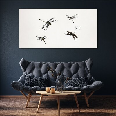 Obraz na plátně Hmyz z červů