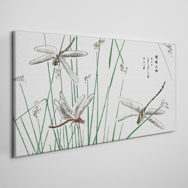 Obraz na plátně Moderní hmyz
