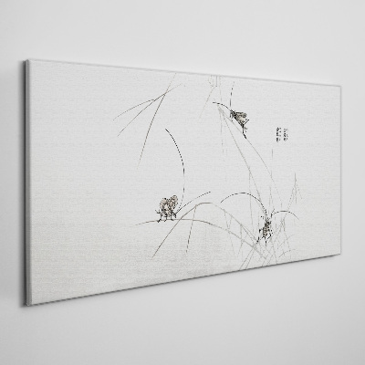 Obraz na plátně Moderní hmyz