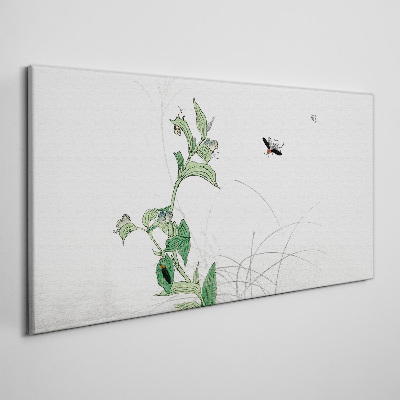 Obraz na plátně Asijské hmyze listy