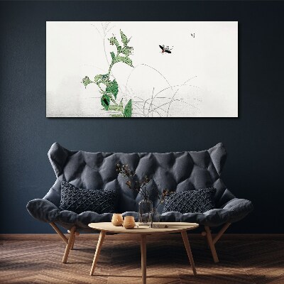 Obraz na plátně Asijské hmyze listy