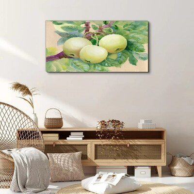 Obraz na plátně Ovoce jablečný větev listy
