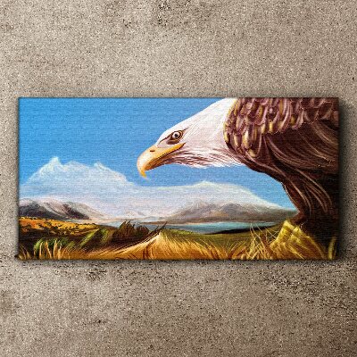 Obraz na plátně Zvířecí pták orel obloha