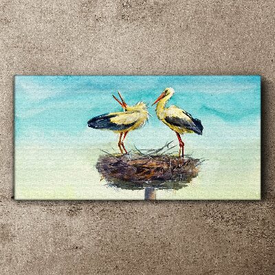 Obraz na plátně Zvířata Birds Swans