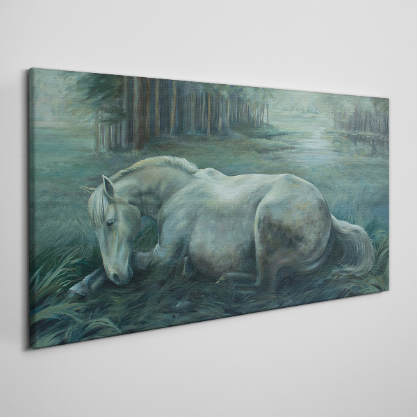 Obraz na plátně Lesní koně volně žijících živočichů