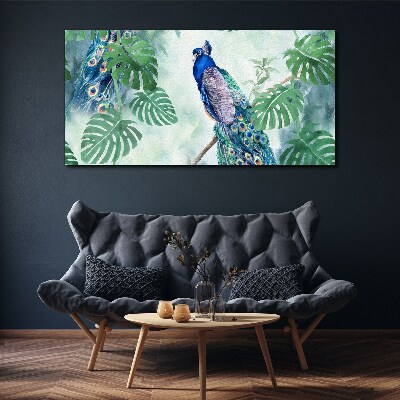Obraz na plátně Větev listy pták páv