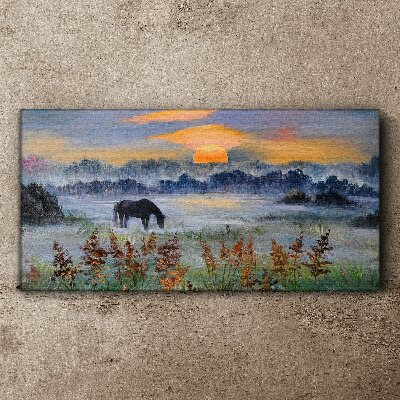 Obraz na plátně Louka zvířecí slunce