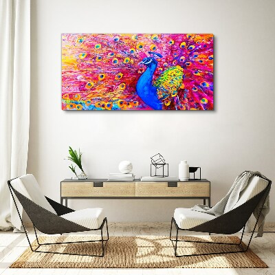 Obraz na plátně Zvířecí pták páv peří