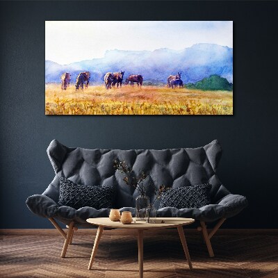 Obraz na plátně Zvířata koně louka příroda