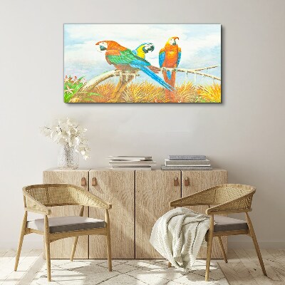 Obraz na plátně Zvířecí ptáci papoušek mraky