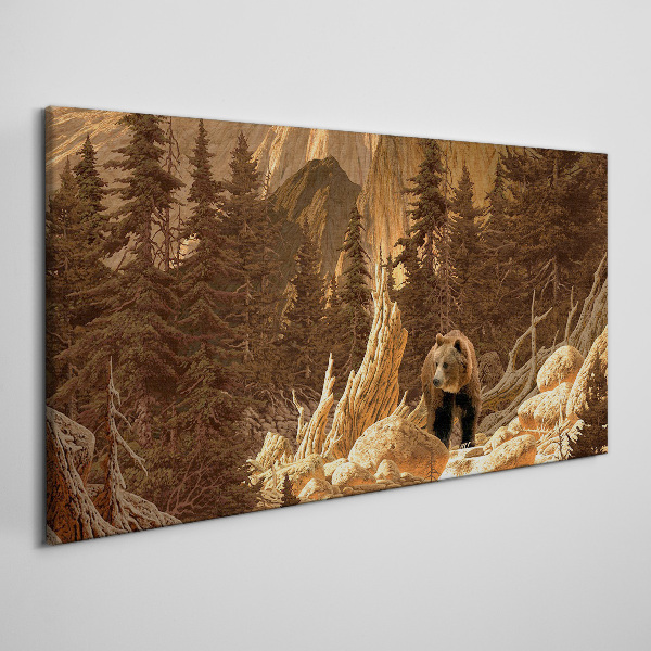 Obraz na plátně Lesní medvěd hor divoké zvěře