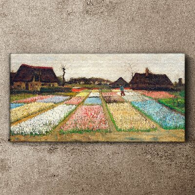 Obraz na plátně Jarní tulipánová pole