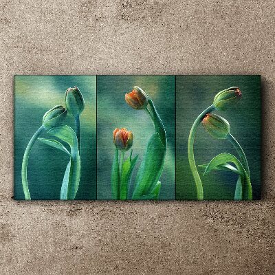 Obraz na plátně Květiny rostlin tulipány