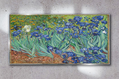 Obraz na skle Van Gogh Irises