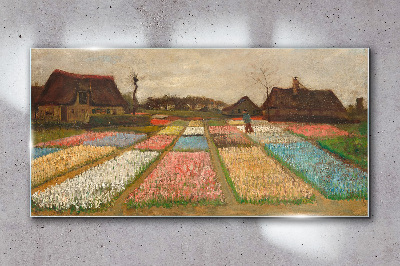 Obraz na skle Jarní tulipánová pole