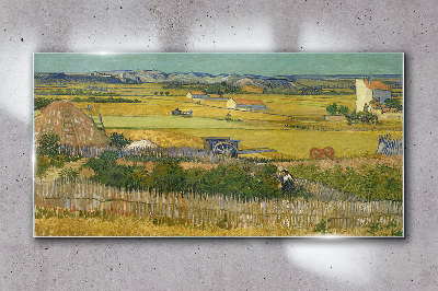 Obraz na skle Sklizeň van Gogh