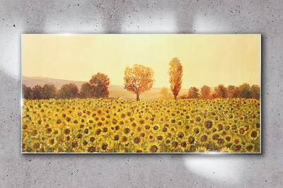Obraz na skle Květiny slunečnic stromů