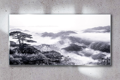 Obraz na skle Mountain Forest Fog