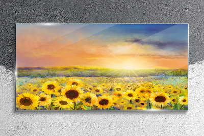 Obraz na skle Květiny pole slunečnic